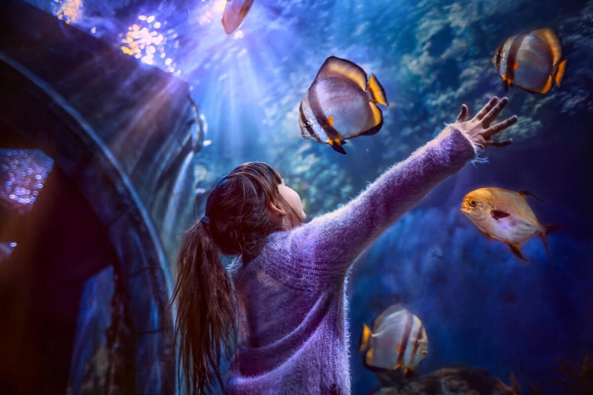 Consider going to the aquarium when looking for things to do in Charlotte, NC. | The Dating Divas