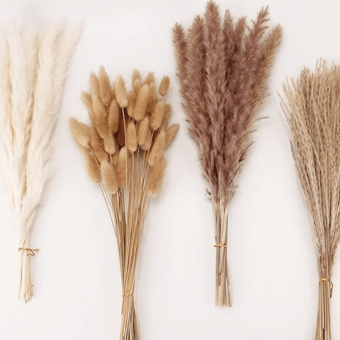 Pampas grass is beautiful and looks great as fall decor. | The Dating Divas